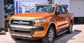 Ford Ranger 2017 - Bán Ford Ranger Wildtrak 3.2 4x4 - Hỗ trợ vay 80% không cần chứng minh thu nhập giá 925 triệu tại Ninh Thuận