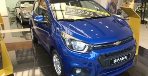 Chevrolet Spark LS 2018 - 40Tr chỉ cần 40tr nhận ngay xe Chevrolet Spark 2018, bạn tin không? giá 334 triệu tại Bến Tre