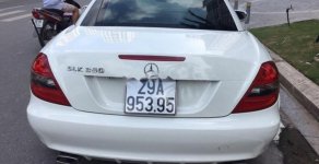 Mercedes-Benz SLK class SLK 350 2010 - Bán Mercedes SLK 350 năm 2010, màu trắng, nhập khẩu   giá 800 triệu tại Hà Nội