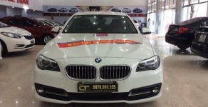 BMW 5 Series 520i 2016 - Cần bán gấp BMW 5 Series 520i năm 2016, màu trắng, nhập khẩu nguyên chiếc số tự động giá 1 tỷ 680 tr tại Hải Phòng