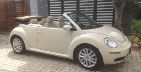 Volkswagen New Beetle 2008 - Bán Volkswagen New Beetle năm sản xuất 2008, nhập khẩu   giá 500 triệu tại Đà Nẵng