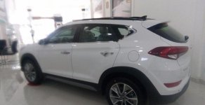 Hyundai Tucson 2018 - Cần bán xe Hyundai Tucson 2018, màu trắng giá 820 triệu tại Long An