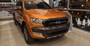 Ford Ranger Wildtrak 2019 - Ranger Wildtrak 2019 đời mới, hỗ trợ vay 80%, lãi suất 0.6% cố định, cam kết giá tốt nhất, LH Lộc: 093.123.8088 giá 795 triệu tại Tp.HCM
