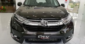 Honda CR V G 2018 - Bán ô tô Honda CR V G năm 2018, màu nâu, xe nhập, 998tr giá 998 triệu tại Thái Bình
