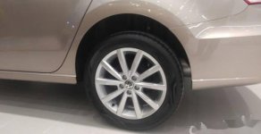Volkswagen Polo 2018 - Bán Volkswagen Polo đời 2018, nhập khẩu nguyên chiếc, 699 triệu giá 699 triệu tại Đà Nẵng