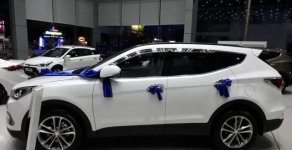 Hyundai Santa Fe 2018 - Bán ô tô Hyundai Santa Fe đời 2018, màu trắng giá 1 tỷ 260 tr tại Kiên Giang