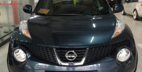 Nissan Juke   1.6 AT  2012 - Bán Nissan Juke 1.6 AT đời 2012, màu xanh lam số tự động, 635tr giá 635 triệu tại Hà Nội