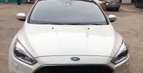 Ford Focus Ecoboost 2016 - Bán xe Ford Focus Ecoboost 1.5 đời 2016, màu trắng giá 710 triệu tại Hà Nội