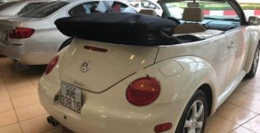 Volkswagen Beetle 2.5 2004 - Cần bán xe Volkswagen Beetle 2.5 2004, màu nâu, xe nhập, 360tr giá 360 triệu tại Hà Nội