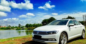 Volkswagen Passat GP 2017 - Bán Volkswagen Passat, nhập khẩu nguyên chiếc từ Đức giá 1 tỷ 99 tr tại Đắk Lắk