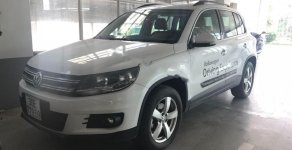 Volkswagen Tiguan 2.0 AT 2016 - Bán Volkswagen Tiguan 2.0 AT sản xuất 2016, màu trắng, xe nhập giá 1 tỷ 250 tr tại Hà Nội
