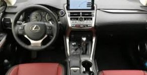 Lexus NX NX 300 2017 - Bán Lexus NX 300 sản xuất 2017, màu xám, xe nhập giá 3 tỷ tại Quảng Bình