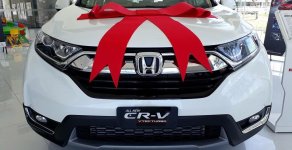 Honda CR V 2018 - Hot, bán Honda CRV màu Trắng bản E giao ngay tại Vũng Tàu, không phải chờ đợi lâu - Gọi ngay 0941.000.166 giá 963 triệu tại Bình Thuận  