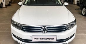 Volkswagen Passat GP 2016 - Cần bán Volkswagen Passat GP đời 2017, màu trắng, trả trước 400 triệu giá 1 tỷ 266 tr tại Tp.HCM