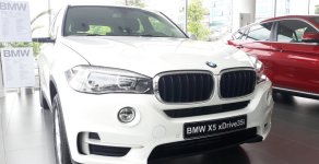 BMW X5 Cũ 2017 - Xe Cũ BMW X5 2017 2017 giá 3 tỷ 599 tr tại Cả nước