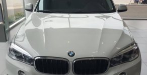 BMW X5 2017 - Bán xe BMW X5 đời 2017, nhập khẩu nguyên chiếc từ Đức, chính sách bán hàng cực ưu đãi. LH: 0987473533 giá 3 tỷ 599 tr tại Hà Nội