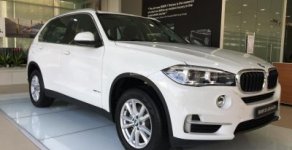 BMW X5 2017 - Bán ô tô BMW X5 xDrive35i nhập khẩu Đức, đời 2017 - 01653802800 giá 2 tỷ 900 tr tại Đà Nẵng