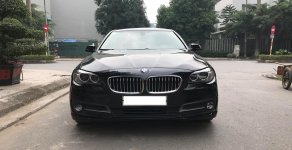 BMW 1 Cũ  5 520i 205 2015 - Xe Cũ BMW 5 520i 2015 giá 1 tỷ 510 tr tại Cả nước