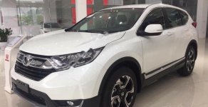 Honda CR V 1.5 G 2018 - Bán Honda CR V 1.5 G năm sản xuất 2018, nhập khẩu giá 1 tỷ 3 tr tại Gia Lai