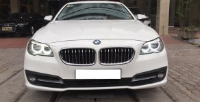 BMW 1 Cũ  5 520i 204 2014 - Xe Cũ BMW 5 520i 2014 giá 1 tỷ 430 tr tại Cả nước