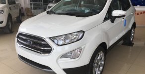 Ford EcoSport 1.0 Ecoboost  2018 - Hãng xe Ford tại Lào Cai bán Ford EcoSport 1.0 Ecoboost đời 2018, màu trắng, giao ngay LH: 0941.921.742 giá 680 triệu tại Lào Cai