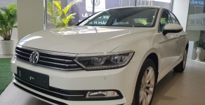 Volkswagen Passat 2017 - Volkswagen Passat, nhập Đức, giá sốc, ưu đãi khủng. LH ngay 0901933522 giá 1 tỷ 450 tr tại Lâm Đồng
