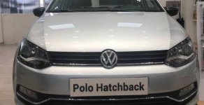 Volkswagen Polo 2016 - Volkswagen Polo 2016, màu bạc, nhập khẩu, NH hỗ trợ trên 80% giá 695 triệu tại TT - Huế