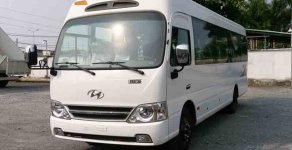 Hyundai County 2018 - Đại lý bán xe Hyundai County mới 100% tại Đắk Lắk - trả trước 400 triệu - thủ tục nhanh giá 1 tỷ 300 tr tại Đắk Lắk