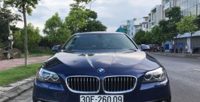 BMW 1 Cũ  5 520i 206 2016 - Xe Cũ BMW 5 520i 2016 giá 1 tỷ 680 tr tại Cả nước