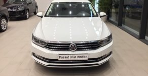 Volkswagen Passat 2016 - Bán ô tô Volkswagen Passat năm sản xuất 2016, màu trắng, nhập khẩu giá 1 tỷ 450 tr tại Thái Bình