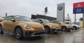 Volkswagen New Beetle 2017 - Bán Volkswagen New Beetle đời 2018, nhập khẩu giá 1 tỷ 469 tr tại Hà Nội