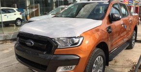 Ford Ranger 2.0 biturbo 2018 - Quảng Bình Ford bán Ford Ranger Wildtrak 2.0 4WD biturbo, lh 0974286009 giá 900 triệu tại Quảng Bình