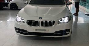 BMW 1 Cũ  5 520i 205 2015 - Xe Cũ BMW 5 520i 2015 giá 1 tỷ 560 tr tại Cả nước