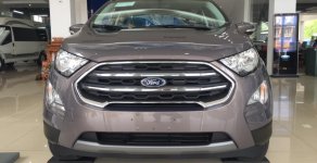 Ford EcoSport Trend 2018 - Đại Lý xe Ford tại Lào Cai bán Ford EcoSport Trend sản xuất năm 2018, màu nâu hổ phách. LH: 0941921742 giá 590 triệu tại Lào Cai