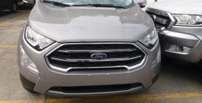 Ford EcoSport 2018 - Ford Thái Bình bán xe Ford Ecosport 2018 màu bạc giá 648 triệu tại Thái Bình