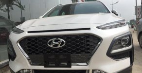 Hyundai Hyundai khác Kona 1.6 Turbo 2018 - Bán xe Hyundai Kona 1.6 Tubro giá 725 triệu tại Tp.HCM