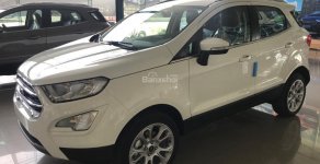 Ford EcoSport 1.5 Titanium 2018 - Ninh Bình Ford bán Ford EcoSport 1.5 Titanium full option năm 2018, đủ màu nhập khẩu, 605tr giá 605 triệu tại Ninh Bình