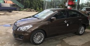 Suzuki Ciaz 2018 - Bán xe Suzuki Ciaz sản xuất 2018, nhập khẩu nguyên chiếc, tiết kiệm nhiên liệu giá 499 triệu tại Lâm Đồng