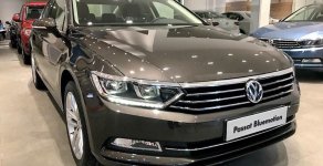 Volkswagen Passat 2016 - Bán Volkswagen Passat Bluemotion 2017, màu nâu, nhập khẩu nguyên chiếc giá 1 tỷ 450 tr tại Quảng Ninh