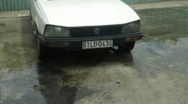 Peugeot 505   1991 - Bán xe Peugeot 505 năm 1991, màu trắng, 30 triệu giá 30 triệu tại Bình Dương