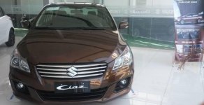 Suzuki Ciaz 2018 - Bán Suzuki Ciaz năm sản xuất 2018, màu nâu giá 499 triệu tại Đồng Nai