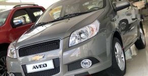 Chevrolet Aveo   2018 - Bán Chevrolet Aveo đời 2018, màu xám giá 389 triệu tại Hậu Giang