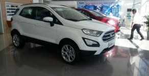 Ford EcoSport Ecosport   2018 - Bán Ford Ecosport 2018 giá từ 545 triệu LH: 0905 409 971 giá 545 triệu tại Bình Định