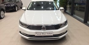 Volkswagen Passat 2017 - Bán Volkswagen Passat Bluemotion sản xuất 2017, màu trắng, nhập khẩu, giảm giá khủng những ngày cuối tháng giá 1 tỷ 450 tr tại Đà Nẵng