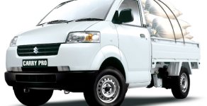 Suzuki Super Carry Pro 2018 - Bán xe Suzuki Carry Pro nhập khẩu giá 312 triệu tại Bình Định