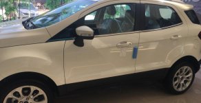 Ford EcoSport 2018 - Bán Ford Ecosport Titanium giá 615 tại Thái Bình, hotline: 0901336355 giá 615 triệu tại Thái Bình