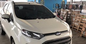 Ford EcoSport Titanium 2016 - Cần bán lại xe Ford EcoSport đời 2016, màu trắng chính chủ, giá tốt giá 560 triệu tại Thái Bình