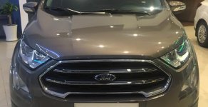 Ford EcoSport Titanium 1.0L 2018 - Chỉ với 190tr bạn có thể chiếc SUV về nhanh tay đặt hàng. LH 0969 399 543 giá 665 triệu tại Tây Ninh