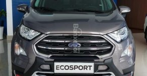 Ford EcoSport Titanium 1.0 Ecoboost 2018 - Bán Ford EcoSport Titanium 1.0 Ecoboost sản xuất 2018, màu nâu, giá 669tr giá 669 triệu tại Tây Ninh