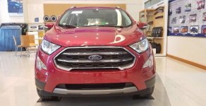 Ford EcoSport 1.0 L Titanium 2018 - Giao ngay Ford EcoSport 1.0 L Titanium 2018, màu đỏ, trắng, hỗ trợ mọi thủ tục lăn bánh, 0968912236 giá 670 triệu tại Hưng Yên